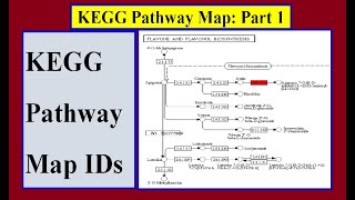 How to get the Kegg IDs for KEGG Pathway Map [upl. by Luana]