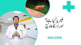 What is Malaria Symptoms causes and treatment A complete guide by tibbi [upl. by Kubetz91]