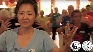 Taoist Tai Chi® arts A moving meditation for body mind and spirit [upl. by Leanor]