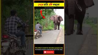 Big Elephant Attack On Poor Boy 😳 হাতি ছেলেটির সাথে একি করলো animals video shorts elephant facts [upl. by Eiznekcam]