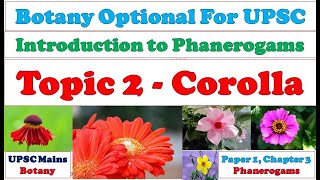 Corolla Structure Types of Corolla Functions of Corolla Importance of Corolla Phanerogams UPSC [upl. by Nilhsa]