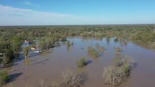 Sanford Dam remains standing but flooding impacts surrounding area [upl. by Nottnerb]