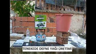 TENEKEDE UÇUCU YAĞ ESANSİYEL AROMATİK YAĞ ÜRETİMİ BÖLÜM 1 [upl. by Lanctot]