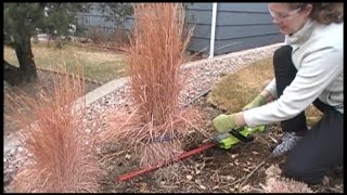 The BEST Way to Prune Ornamental Grasses [upl. by Nuavahs]