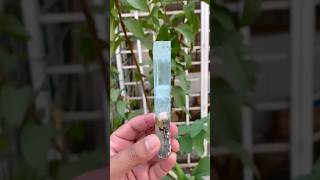 Natural Terminated Aquamarine Crystal aquamarine crystals specimen gemstone crystalshop [upl. by Aurie715]