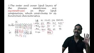 Plasma Membrane Part II [upl. by Katrina750]