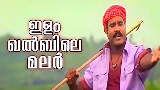 Ilam Khalbile  Malsaram  Kalabhavan Mani  Suchitha  Yesudas  MJayachandran [upl. by Seiber448]