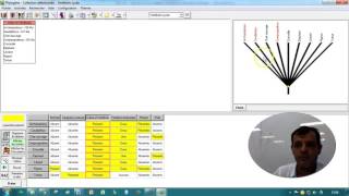 Construire un arbre phylogénétique avec Phylogène [upl. by Glasgo]