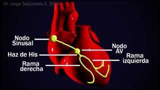 Electrocardiografía Básica Parte 34 [upl. by Box806]