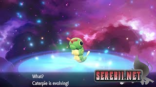 Viridian Forest  Exclusive Pokémon Lets Go Pikachu Footage [upl. by Oriole]