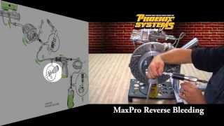 Quick Start to Reverse Brake Bleed with MaxPro Brake Bleeding Kit [upl. by Marston257]