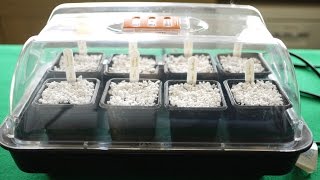 How To Use A Heated Propagator [upl. by Esinej]