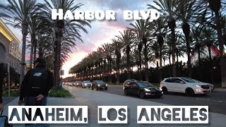 Anaheim Los Angeles California  near Disney world walkingtour explore losangeles california [upl. by Keiryt]