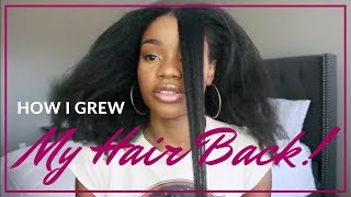 How I Grew My Hair Back [upl. by Inalem]