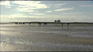 Wadden Sea in 60 secs  UNESCO World Heritage [upl. by Aikkin28]