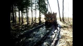 Belarus Mtz 1025 forestry tractor [upl. by Frodi451]