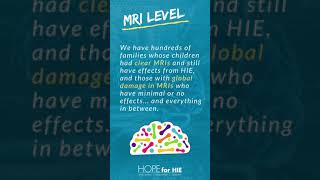 HIE Levels Explained  Hypoxic Ischemic Encephalopathy [upl. by Tiat]