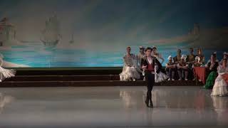 Vladislav Lantratov  Don Quixote Tbilisi Ballet Festival 2017 [upl. by Ortensia]