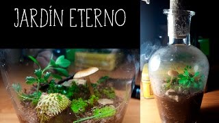 Tutorial Jardín dentro de una botella sellada [upl. by Swartz]