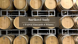 Barikové Sudy v TAJNA Vineyards amp Winery [upl. by Ecnerwal]