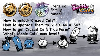 How to Get Crazed Cat with Only Two Basic Cats [upl. by Grannias]