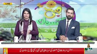 PTV News Live Stream [upl. by Marden]