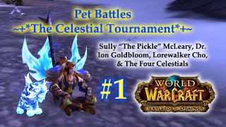 World of Warcraft  Pet Battles The Celestial Tournament 1 [upl. by Einhorn977]