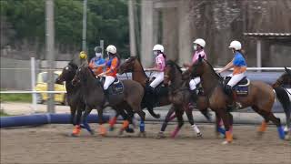 Partido Horseball SM  La Plaza Mixto [upl. by Atinnor822]