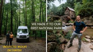 We made it to NEW RIVER GORGE NP  FULLTIME VANLIFE  Our first wildlife encounter [upl. by Bidle]