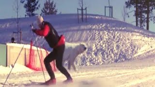 The Most Funniest Ski Fails Compilation [upl. by Wendi]