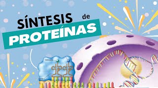 Síntesis de Proteínas  En menos de 10 minutos ⚡ [upl. by Rolyab]