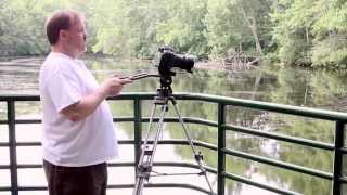 Review of the Ravelli AVTP Video Tripod [upl. by Erreip258]