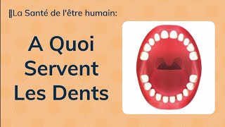 CE1📚 ABC EN SCIENCE 🖋️ La santé de lêtre humain👨‍⚕️à quoi servent les dents 🦷 [upl. by Jeremy]