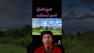 Wallingat national park travel explore overland 4x4 camping trending reaction [upl. by Ruprecht]