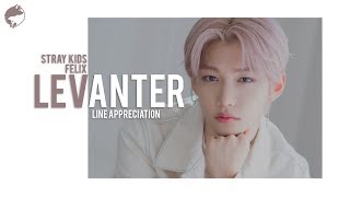 Clé  LEVANTER  Line Appreciation Felix 필릭스 [upl. by Eade989]