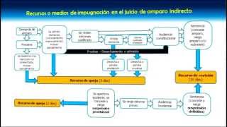 Recursos en el juicio de amparo indirecto [upl. by Atteuqnas198]