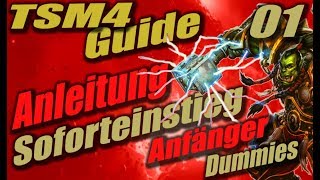 TSM4 Guide Anleitung und easy Soforteinstieg für Dummies und Anfänger im WoW Goldmaking 1 [upl. by Lyrrehs]