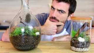 Et si on faisait un terrarium  Jardin DIY fermé en bocal [upl. by Akkin]