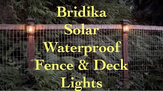 Bridika Brand Outdoor Solar Wall and Fence Lights Unboxing and Review Bridika Outdoor Solar Lights [upl. by Hyacinth]