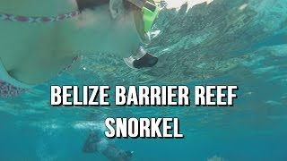 Snorkeling the Belize Barrier Reef [upl. by Chaing979]