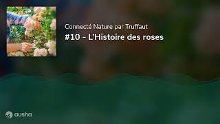 Podcast 10  L’Histoire des roses [upl. by Dlorah273]