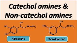 Catechol amines and Noncatechol amines as adrenergic agonists [upl. by Kciregor]