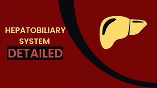 Hepatobiliary system  liver histology  anatomical and functional lobule  blood bile flow [upl. by Alemak]