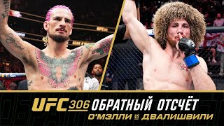 UFC 306 Обратный отсчет  ОМэлли vs Двалишвили [upl. by Vacuva]