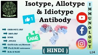 Isotype Allotype amp Idiotype Antibody  HINDI  CSIR  UGC  DBT  GATE  ICMR  JNUEE  MScBSc [upl. by Wernsman]