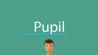 Pupil pronunciation [upl. by Galliett]