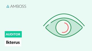 Differentialdiagnostik des Ikterus  AMBOSS Auditor [upl. by Adnolay207]