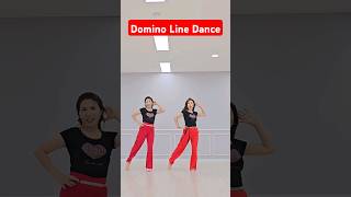 Domino Line Dance  Improver  국금선라인댄스 초중급라인댄스 linedance 성남위례라인댄스 dance 코리아노블라인댄스협회 댄스 [upl. by Yahsan]