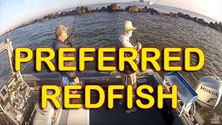 REDFISH BY THE NUMBERS Mayport Jetties [upl. by Nnyltak]