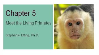 Explorations Chapter 5 Meet the Living Primates [upl. by Naihtsirc]